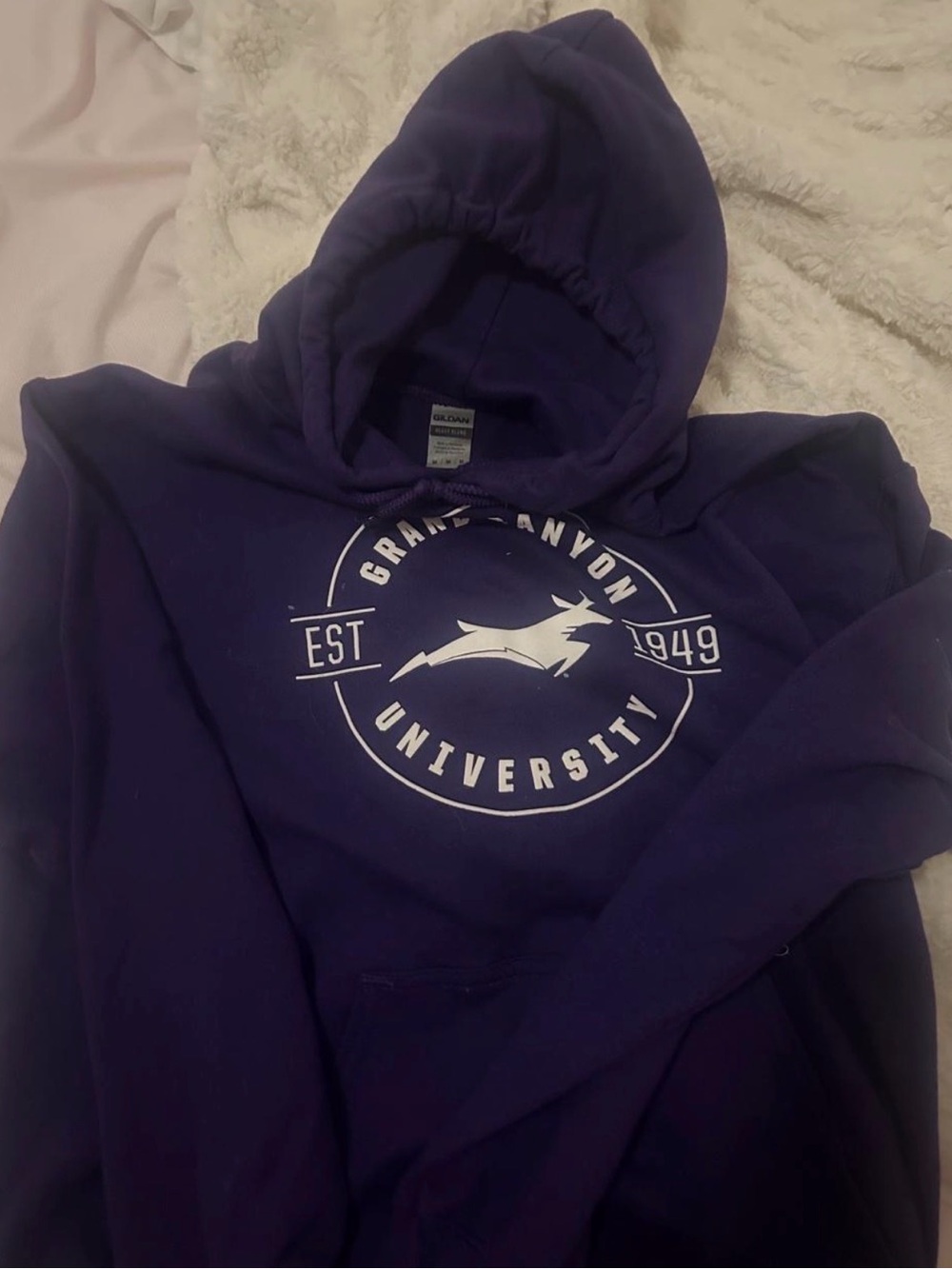 Gildan Purple Crewneck University Logo Hoodie